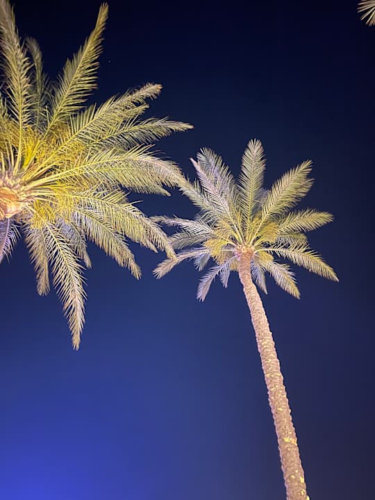 Gartenanlage Cleopatra Luxury Resort Makadi Bay