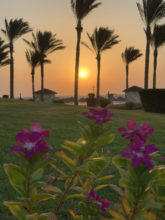 Gartenanlage Rixos Sharm El Sheikh Adults Only 18 +