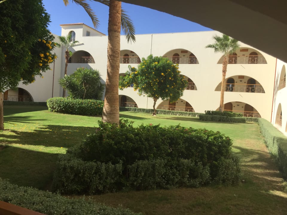 Ausblick Desert Rose