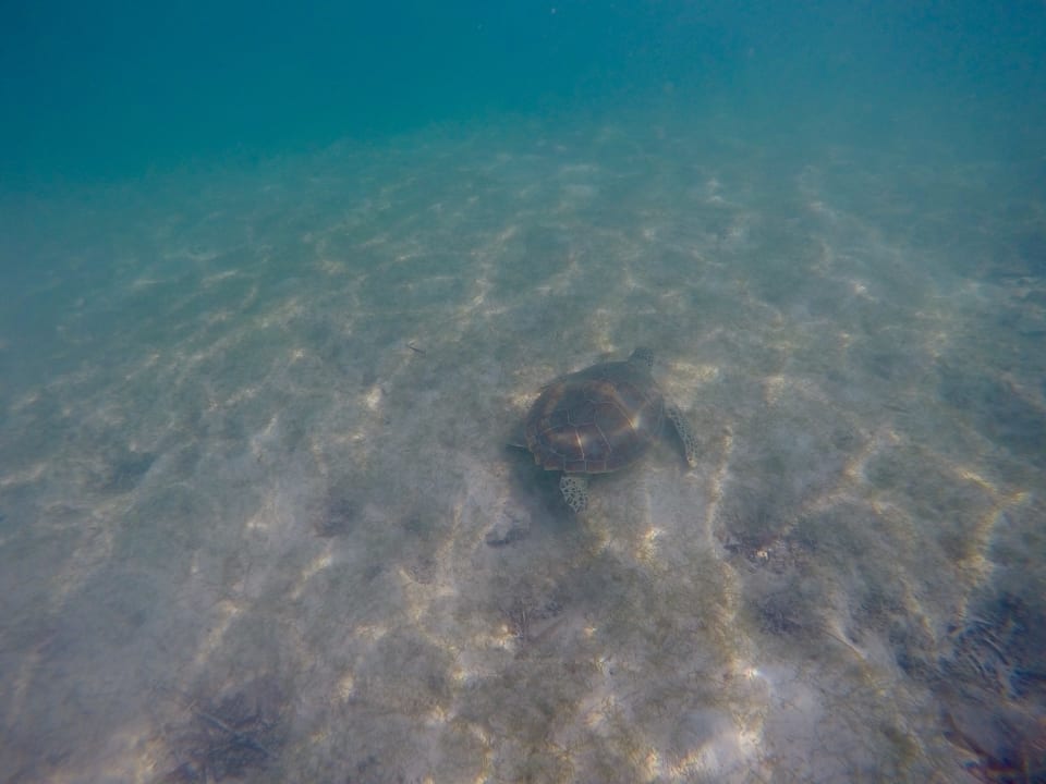 Strand Akumal Bay Beach & Wellness Resort