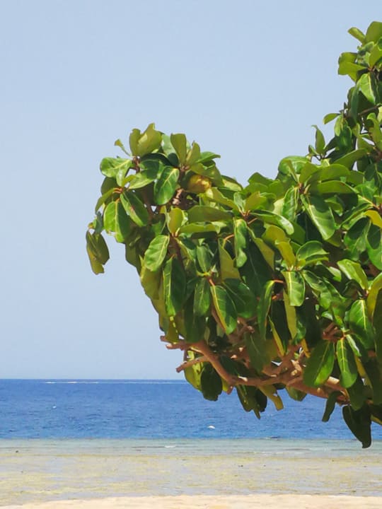 Strand Three Corners Equinox Beach Resort