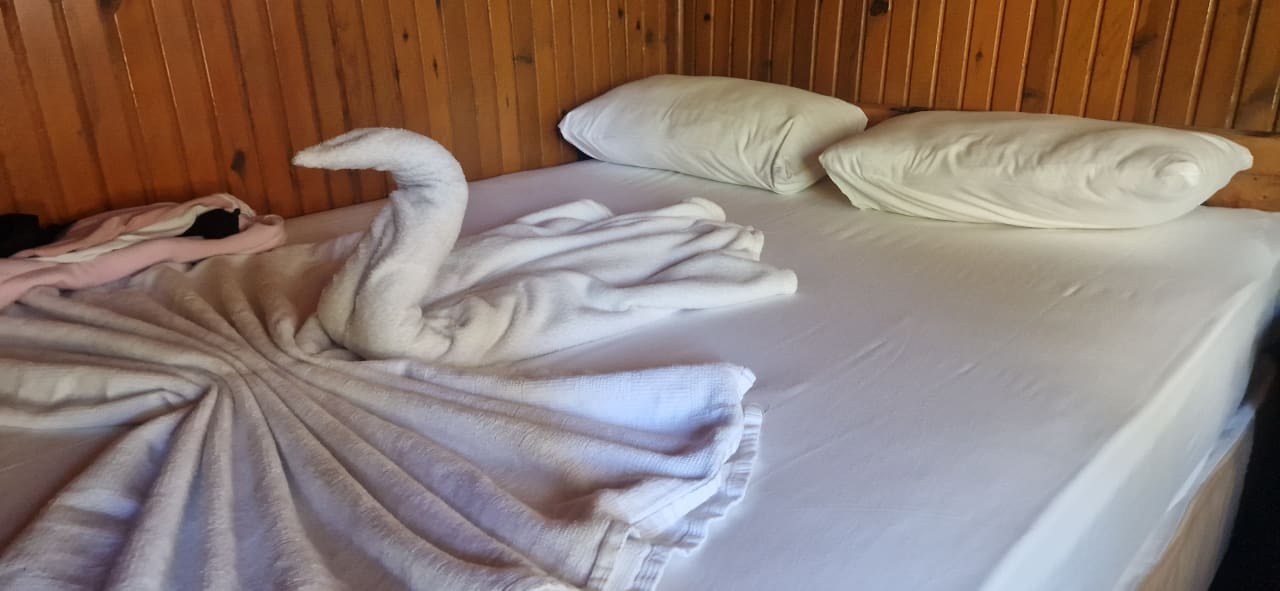 Zimmer Clover Magic Nova Beach