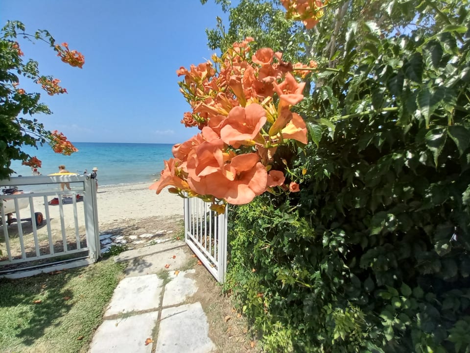 Ausblick Greek Pride Villa Ellada