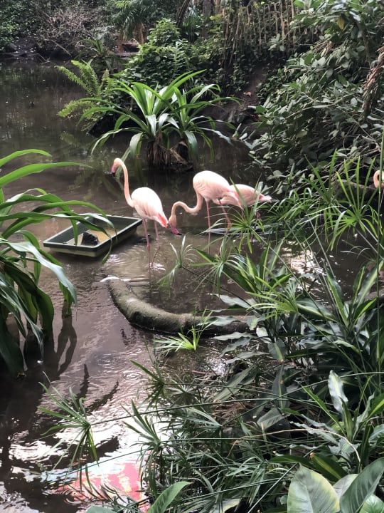 Gartenanlage Tropical Islands Resort
