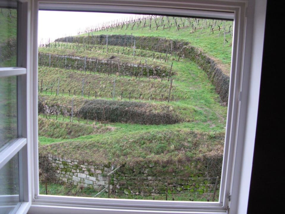 Blick aus dem Bad auf die Weinberge Hotel Residenz im Schloss Neuweier