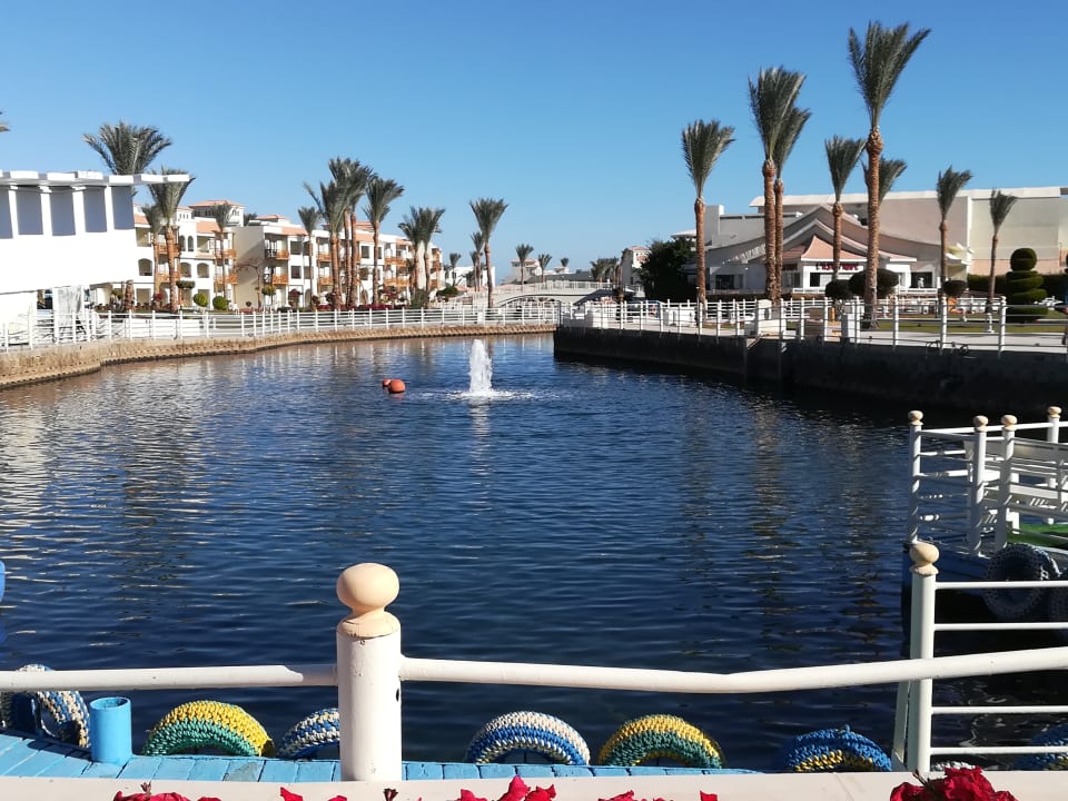 Sonstiges Pickalbatros Dana Beach Resort - Hurghada