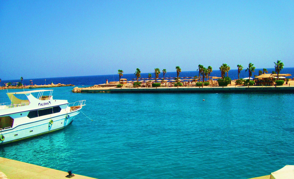 Ausblick Pickalbatros Citadel Resort