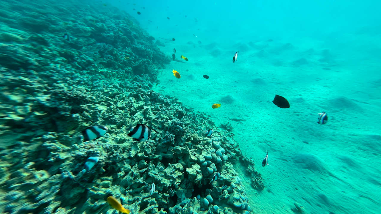 Strand Cleopatra Luxury Resort Makadi Bay