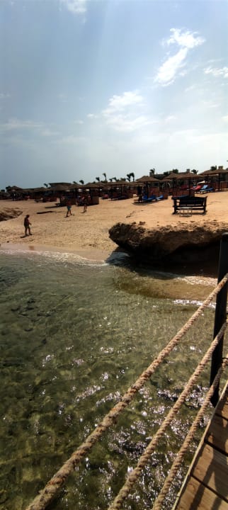 Strand Pickalbatros Palace Hotel-Port Ghalib