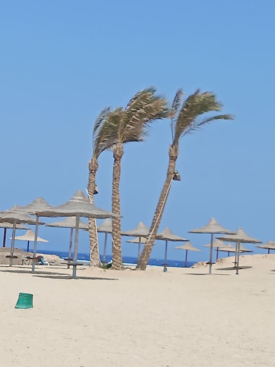 Strand Malikia Resort Abu Dabbab
