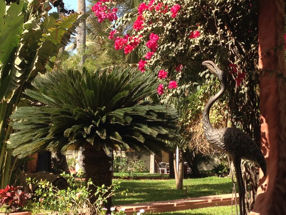 Gartenanlage Hotel Senegambia Beach