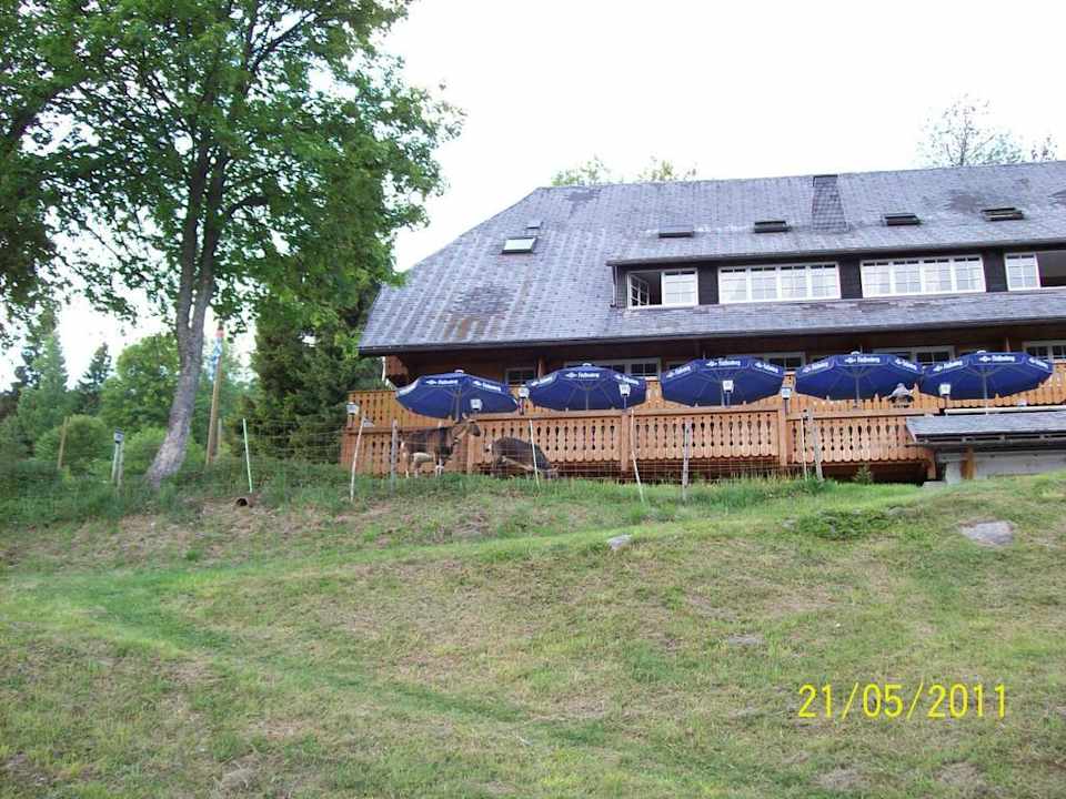 Blick vom Garten Heizmannshof Hotel & Restaurant