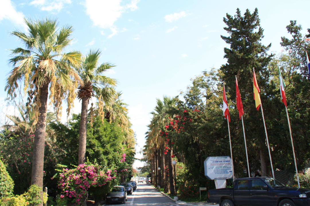 Zufahrt The Orangers Beach Resort and Bungalows