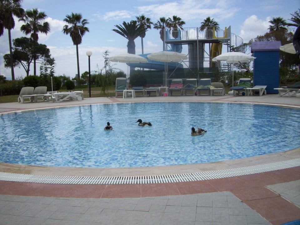 Kinderpool an einem Regentag Ephesia Holiday Beach Club