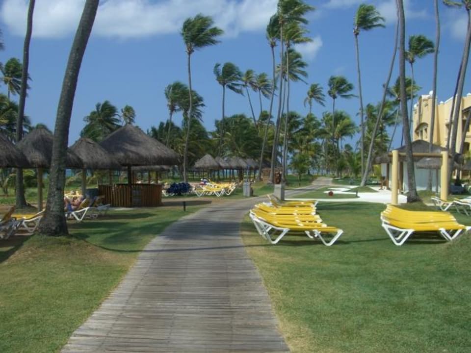 Garten Iberostar Waves Bahia