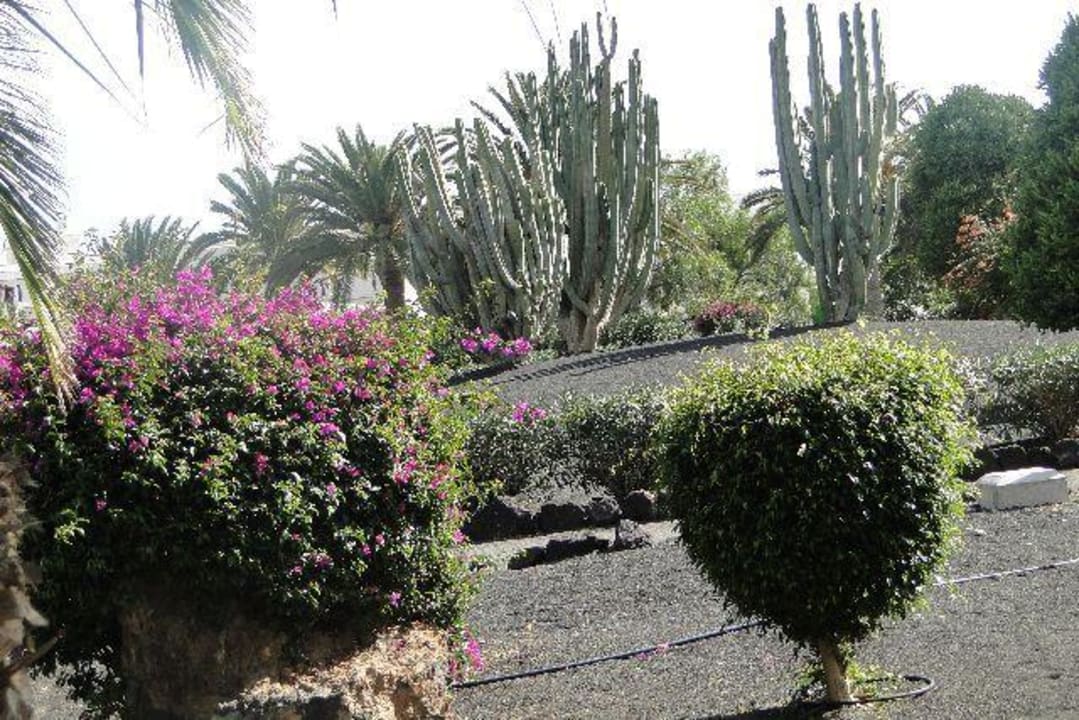 Die Anlage Relaxia Olivina