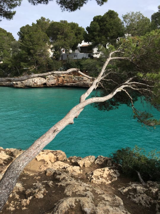 Außenansicht ROBINSON CALA SERENA
