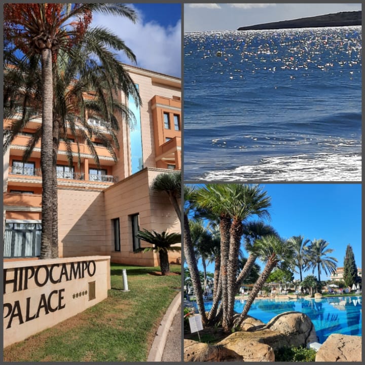 Außenansicht Hipotels Hipocampo Palace & Spa