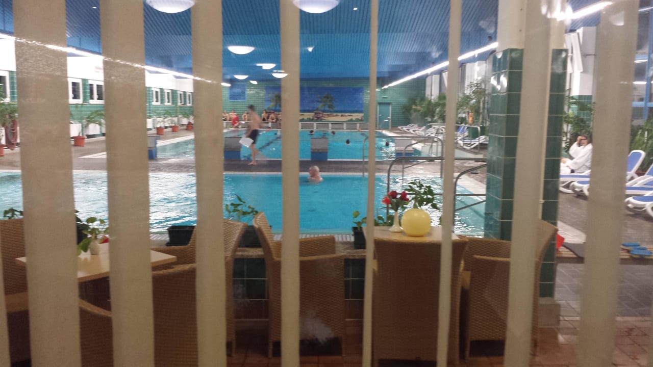 Blick auf die Schwimmhalle AHORN Berghotel Friedrichroda