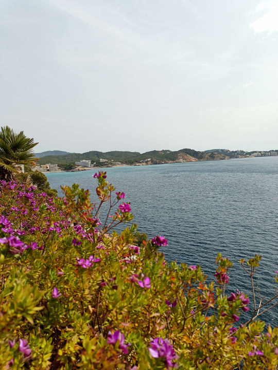 Strand Universal Hotel Lido Park & Spa
