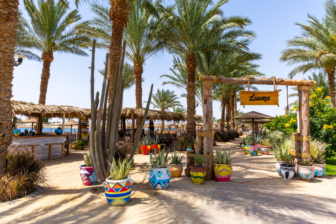 Gastro Fort Arabesque Resort, Spa & Villas