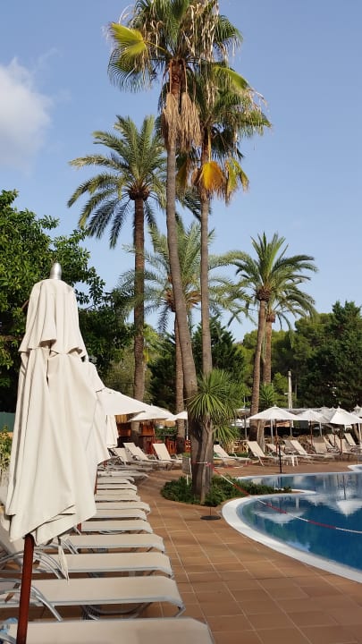 Pool Valentin Reina Paguera