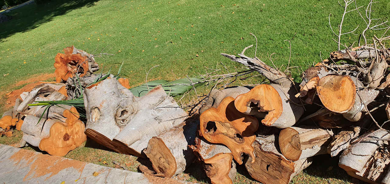 Gartenanlage Grand Bávaro Princess