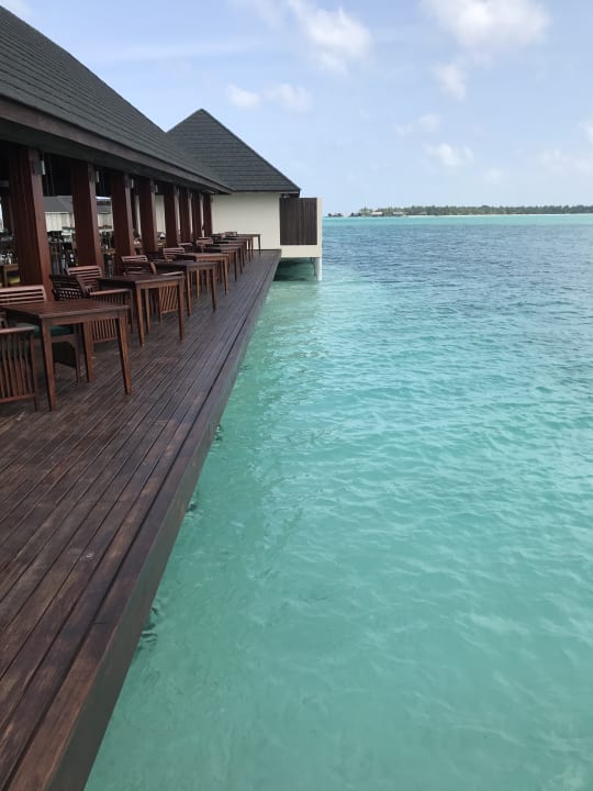 Gastro Summer Island Maldives