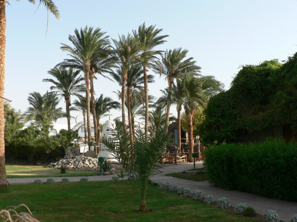 Weg zum Restaurant Shams Safaga Resort