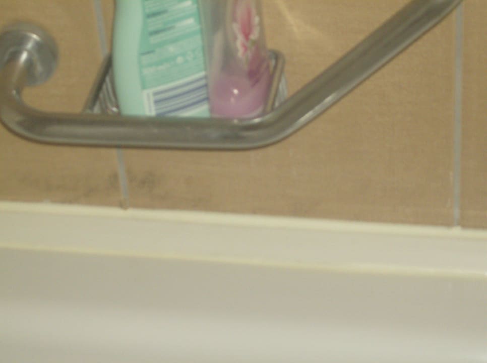 Schimmel geht weiter Hane Family Resort