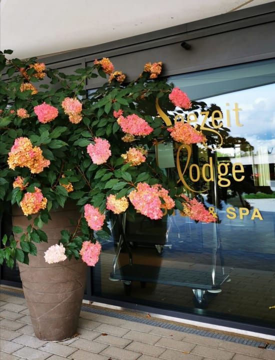 Sonstiges Seezeitlodge Hotel & Spa