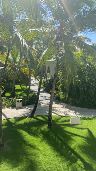 Gartenanlage Impressive Punta Cana