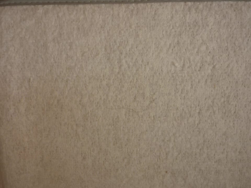 Haare im Bett Hotel Reinerhof