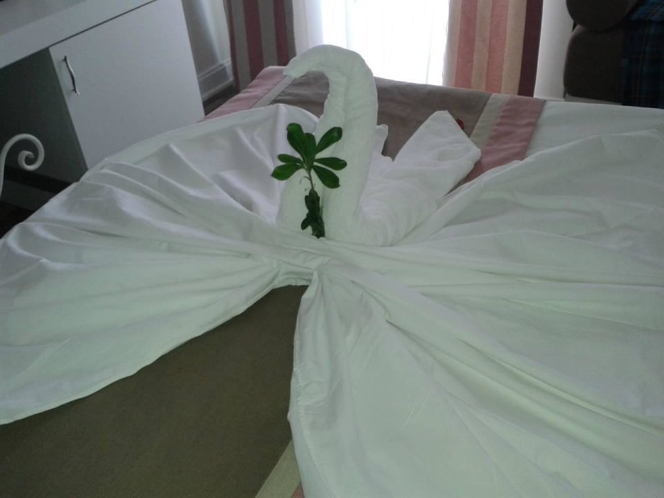 Bett jeden Tag schön Dekoriert Hotel Delphin Diva