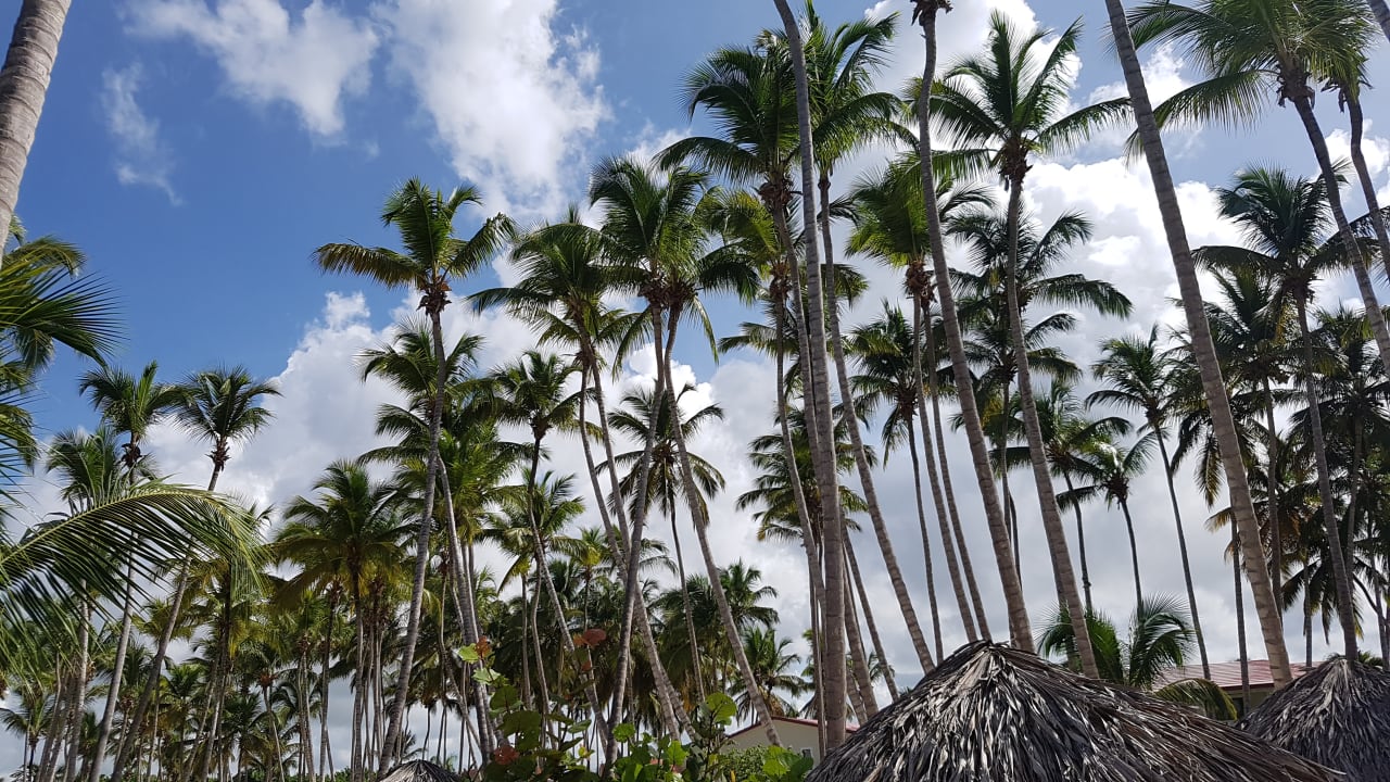 Strand Bahia Principe Luxury Bouganville