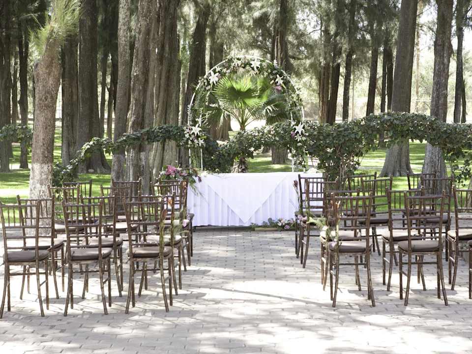 Eventos especiales Hotel Mision Comanjilla