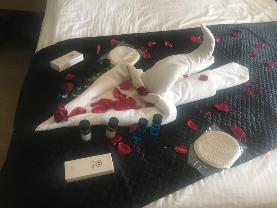 Zimmer Hotel Delphin Imperial