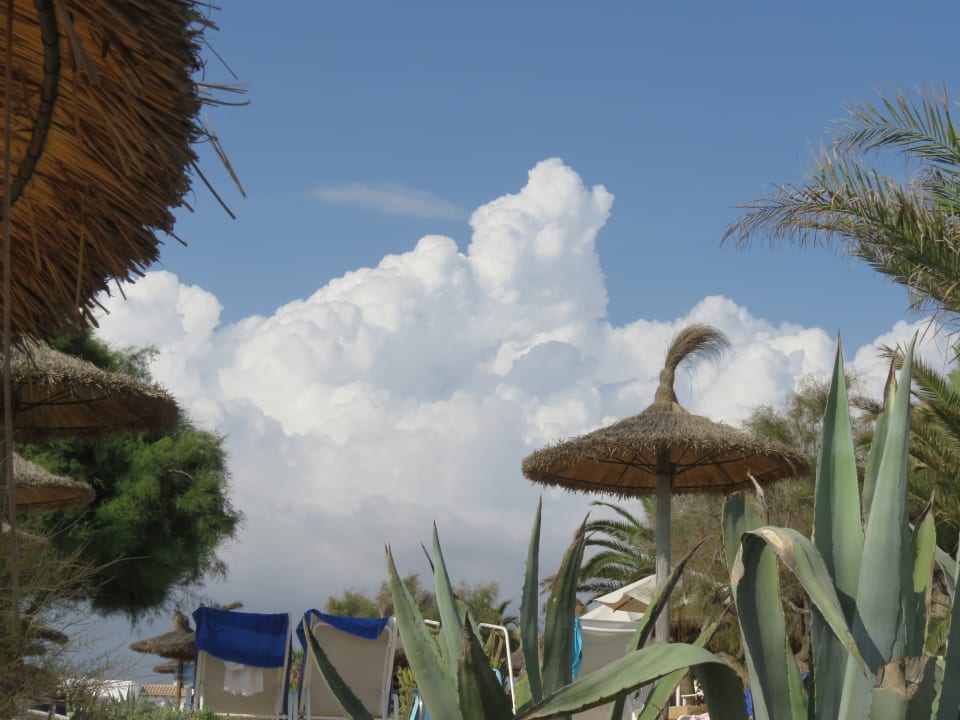 Gartenanlage Bikini Island & Mountain Hotel Es Trenc