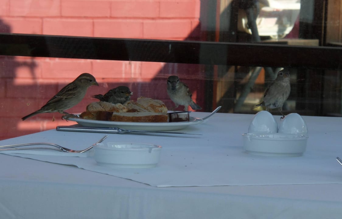 Verwaiste Teller  Limak Lara Deluxe Hotel & Resort