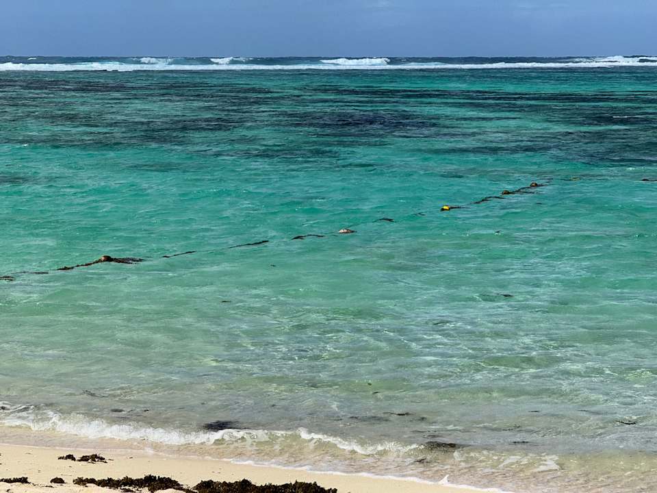 Strand Friday Attitude