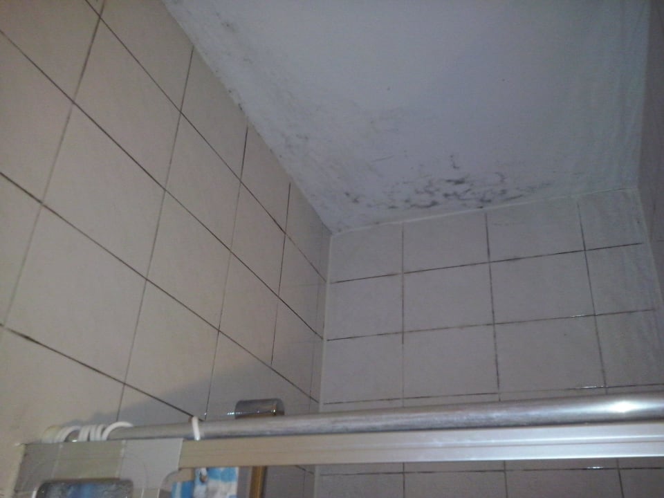 Schimmel Decke Dusche Hotel Carina