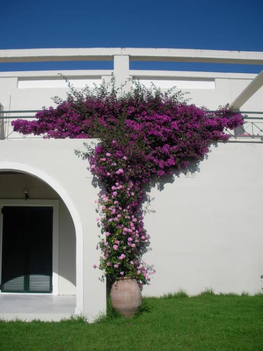 Neuerer Teil der Hotelanlage Sentido Apollo Palace