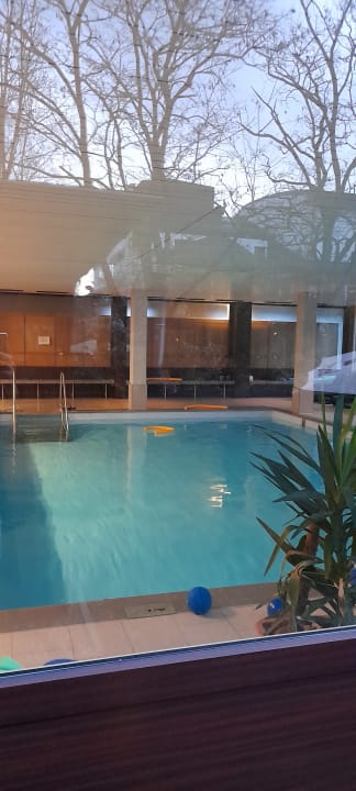 Ausblick Vitalhotel König am Park