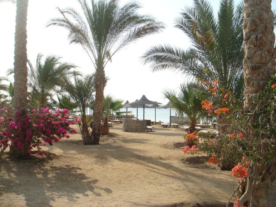 Aussicht Brayka Bay Resort