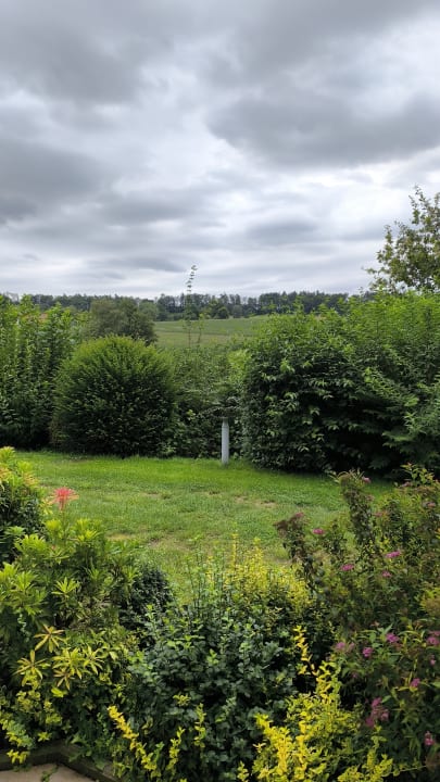 Ausblick Ringhotel Landhotel Buller
