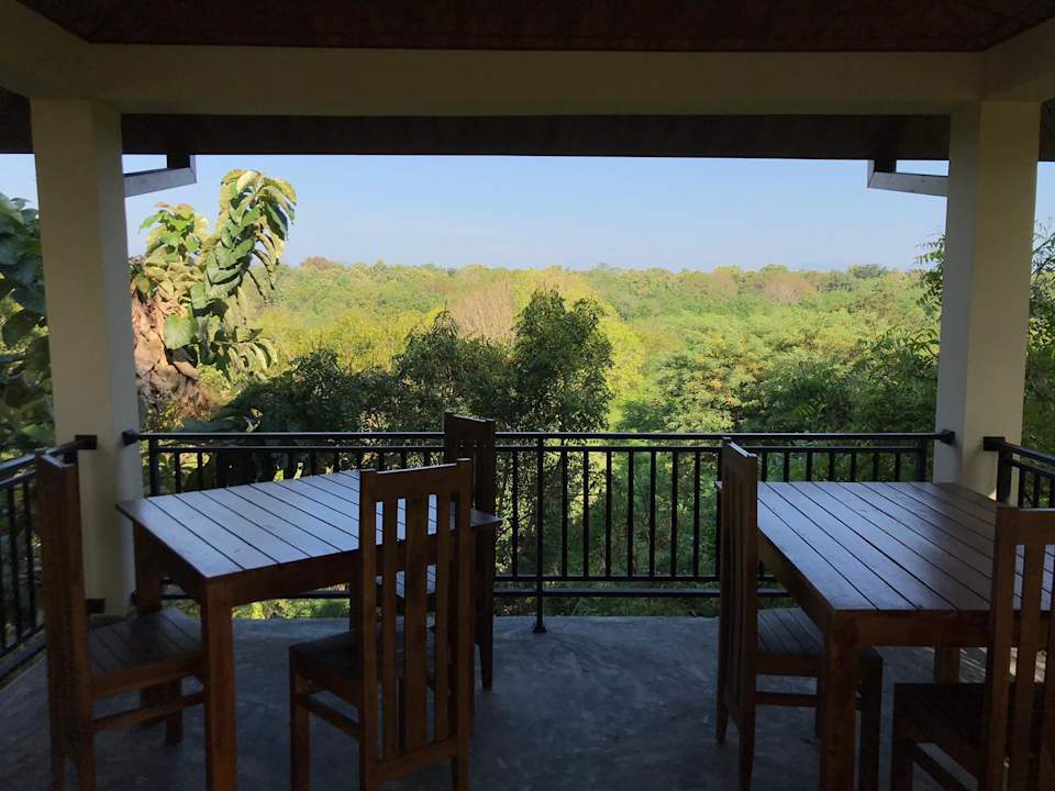 Gastro Jungle Paradise