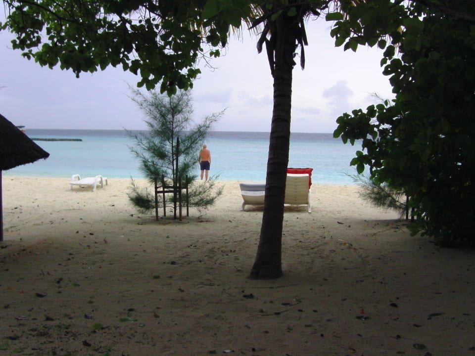 Blick vom Bungi Nr. 7 zum Strand Summer Island Maldives