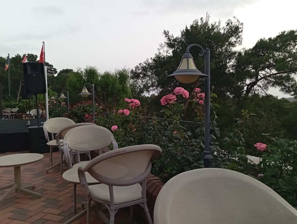 Ausblick Montana Pine Resort