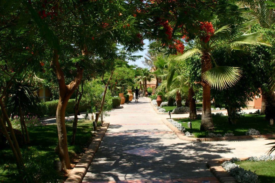 Ogród Jaz Makadi Oasis Resort