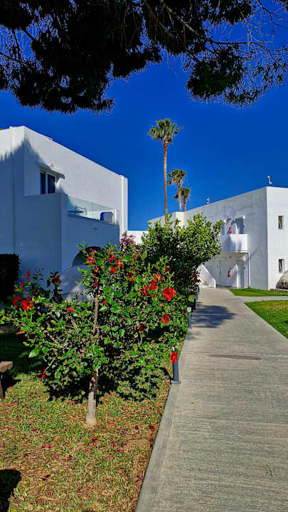 Gartenanlage Summer Village of Hippokrates - Adults only